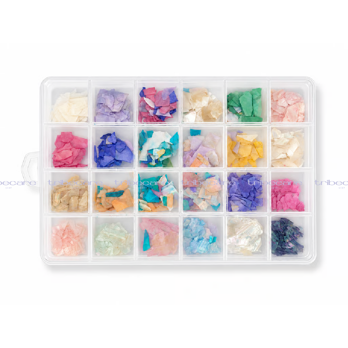 BOX GRANDE DE CONCHAS (MIX DE COLORES)