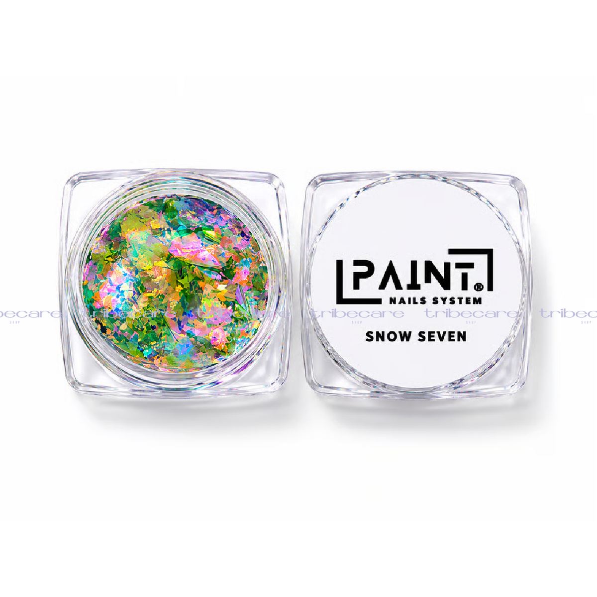 FLAKES SNOW PAINT