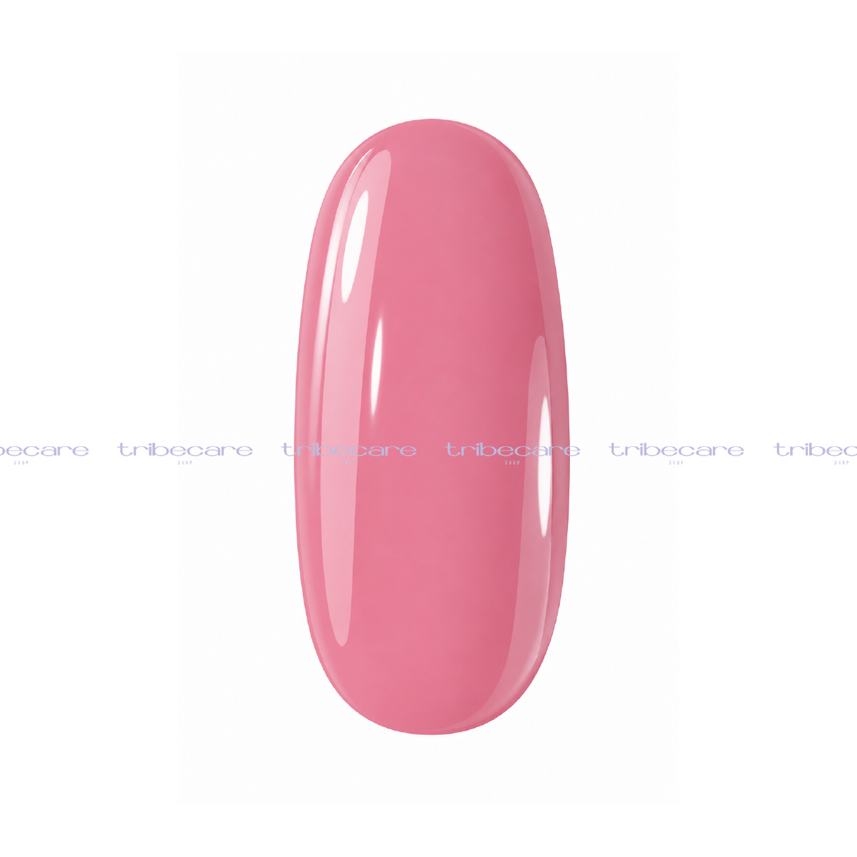 LIGHT BUILDER LIU NAILS
