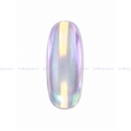 PIGMENTO AURORA 04 LIUNAILS