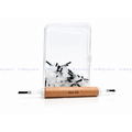 JUEGO DE 50 PINCELES DESMONTABLES CON MANGO DE MADERA