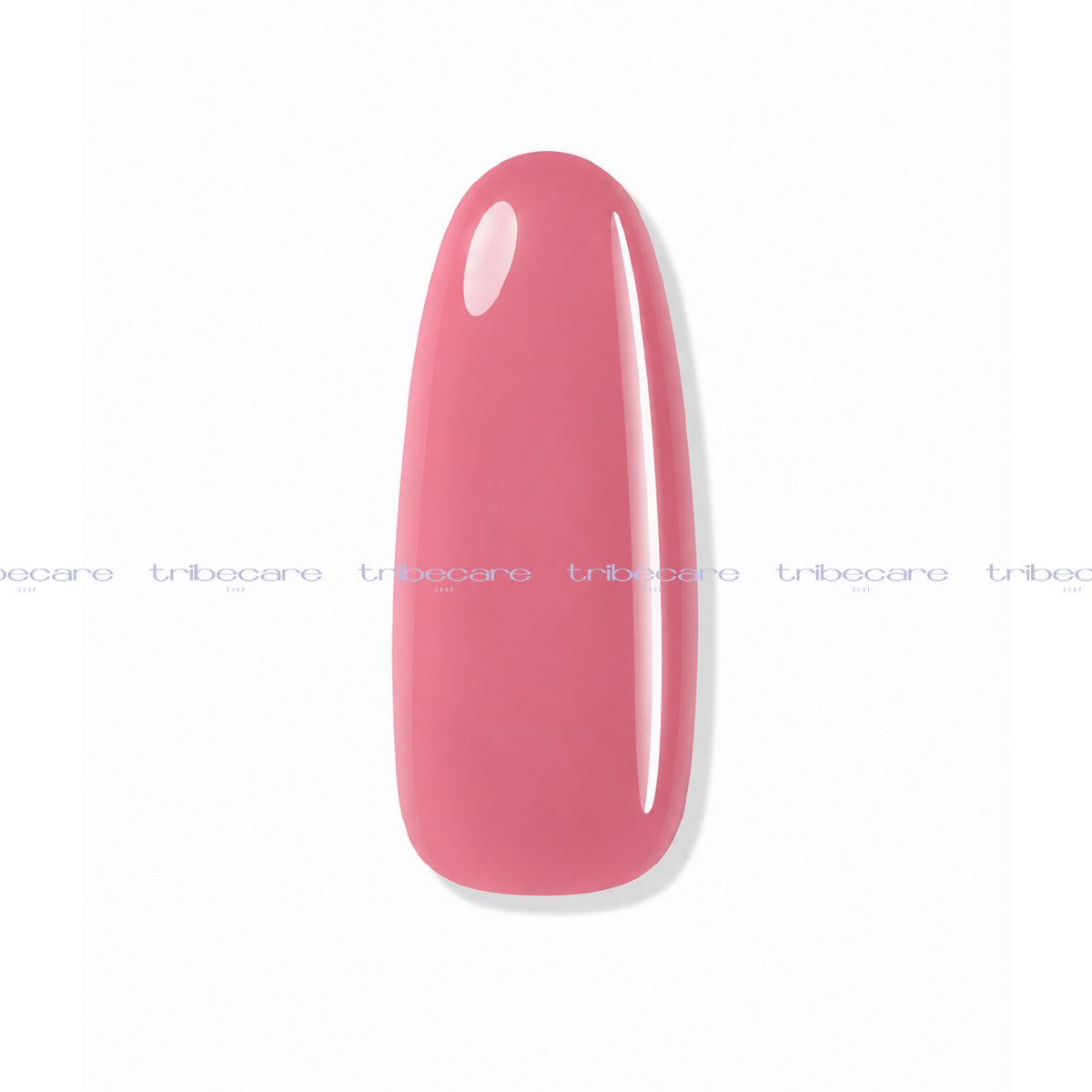 BUILDER GEL PAINT