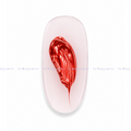 MUNU16H RED